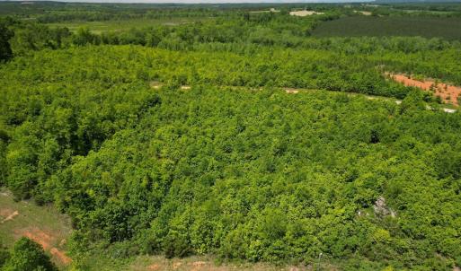 Photo #27 of Three Creeks Road, Gladys, VA 95.6 acres