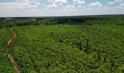 Photo #22 of Three Creeks Road, Gladys, VA 95.6 acres