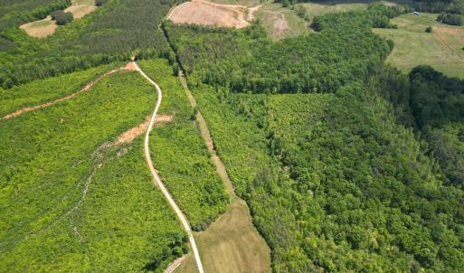 Photo #6 of Three Creeks Road, Gladys, VA 95.6 acres