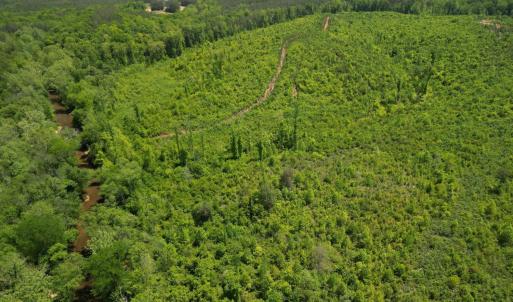 Photo #17 of Three Creeks Road, Gladys, VA 95.6 acres