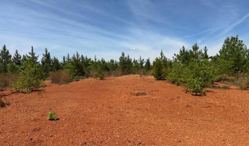 Photo #41 of Three Creeks Road, Gladys, VA 95.6 acres