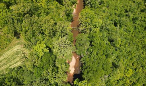 Photo #13 of Three Creeks Road, Gladys, VA 95.6 acres
