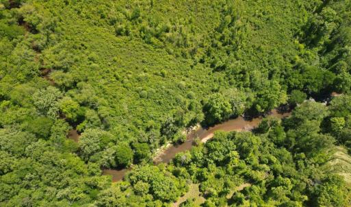 Photo #12 of Three Creeks Road, Gladys, VA 95.6 acres