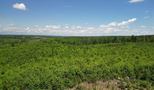 Photo #33 of Three Creeks Road, Gladys, VA 95.6 acres