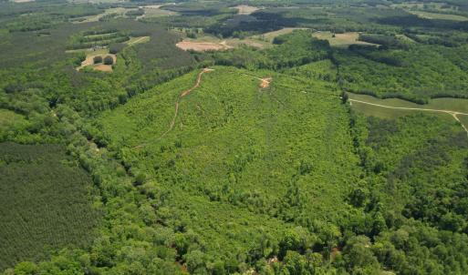 Photo #10 of Three Creeks Road, Gladys, VA 95.6 acres