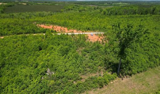 Photo #28 of Three Creeks Road, Gladys, VA 95.6 acres