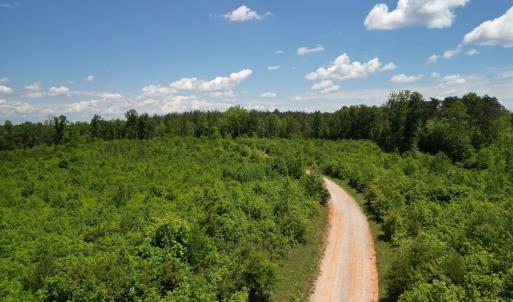 Photo #36 of Three Creeks Road, Gladys, VA 95.6 acres