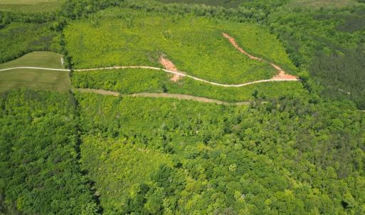 Photo #3 of Three Creeks Road, Gladys, VA 95.6 acres