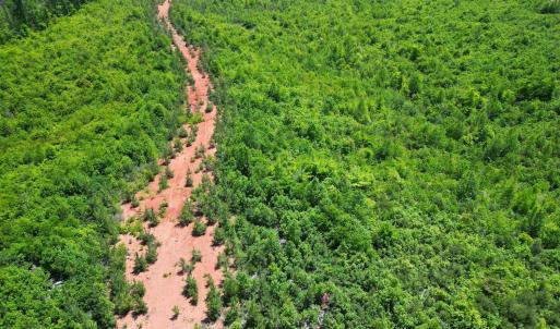 Photo #23 of Three Creeks Road, Gladys, VA 95.6 acres