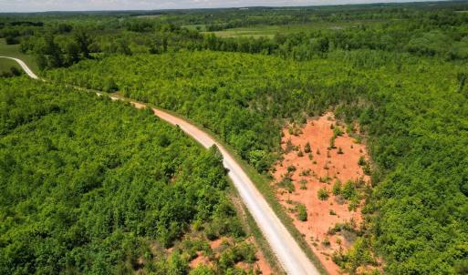 Photo #30 of Three Creeks Road, Gladys, VA 95.6 acres