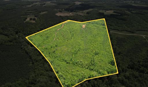 Photo #11 of Three Creeks Road, Gladys, VA 95.6 acres