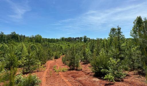 Photo #40 of Three Creeks Road, Gladys, VA 95.6 acres