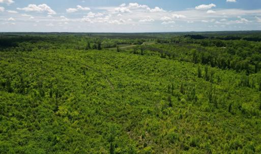Photo #21 of Three Creeks Road, Gladys, VA 95.6 acres
