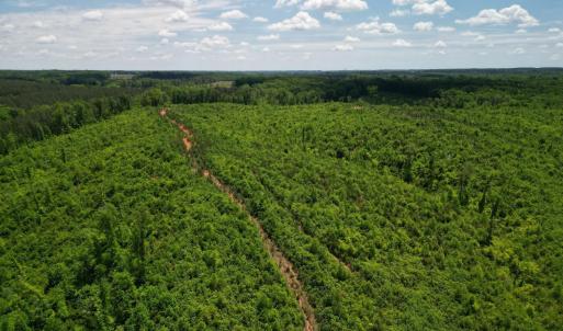 Photo #20 of Three Creeks Road, Gladys, VA 95.6 acres