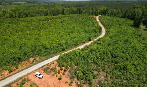 Photo #29 of Three Creeks Road, Gladys, VA 95.6 acres