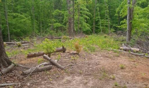 Photo #3 of Occoneechee Drive, Clarksville, VA 2.4 acres