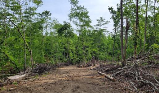Photo #5 of Totero Ct & Rosseechee Ct, Clarksville, VA 3.3 acres