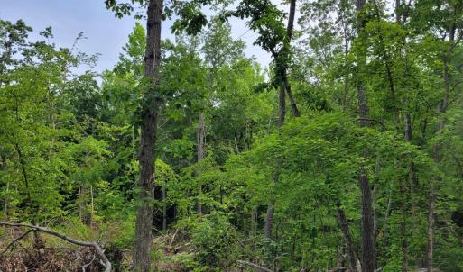 Photo #8 of Totero Ct & Rosseechee Ct, Clarksville, VA 3.3 acres