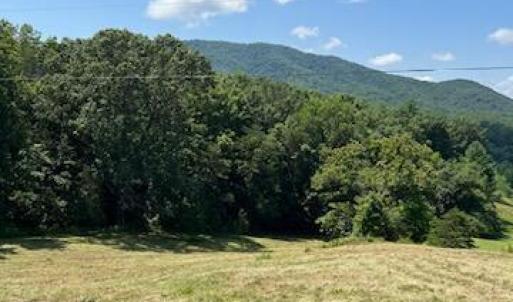 Photo #7 of Coopers Cove Road, Hardy, VA 3.4 acres