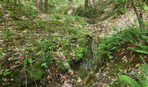 Photo #6 of Holiday Lake Road, Appomattox, VA 15.0 acres