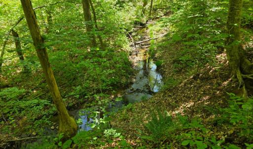 Photo #11 of Holiday Lake Road, Appomattox, VA 15.0 acres