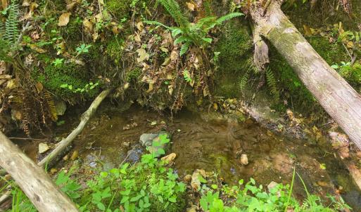 Photo #5 of Holiday Lake Road, Appomattox, VA 15.0 acres