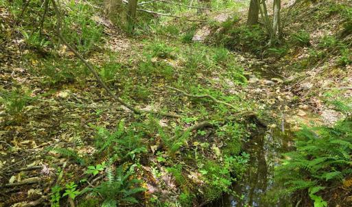 Photo #7 of Holiday Lake Road, Appomattox, VA 15.0 acres