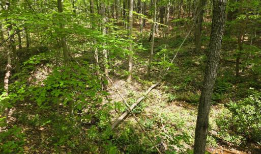 Photo #4 of Holiday Lake Road, Appomattox, VA 15.0 acres