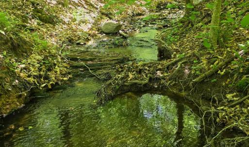 Photo #1 of Holiday Lake Road, Appomattox, VA 15.0 acres