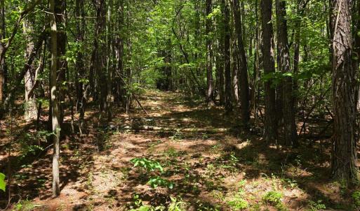 Photo #10 of Holiday Lake Road, Appomattox, VA 15.0 acres