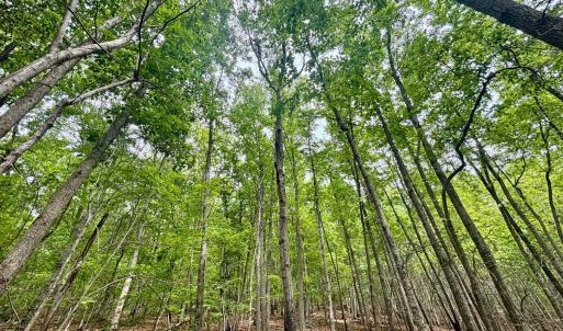Photo #1 of Otterwood Court, Evington, VA 3.6 acres
