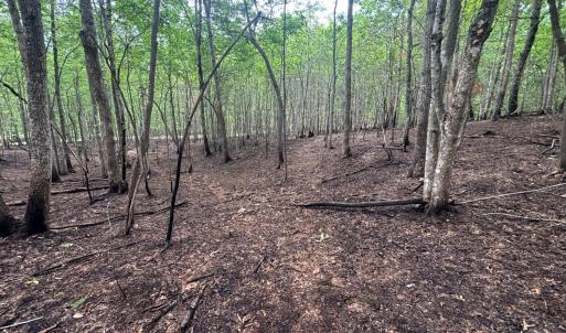 Photo #5 of Otterwood Court, Evington, VA 3.6 acres