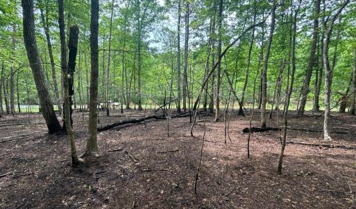 Photo #4 of Otterwood Court, Evington, VA 3.6 acres