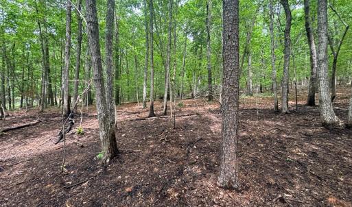 Photo #3 of Otterwood Court, Evington, VA 3.6 acres