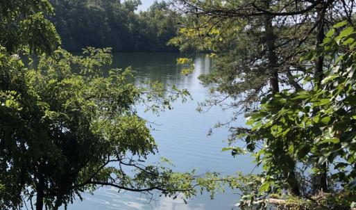 Photo #2 of 69 Washburn Court, Hardy, VA 1.1 acres