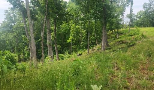 Photo #6 of 69 Washburn Court, Hardy, VA 1.1 acres