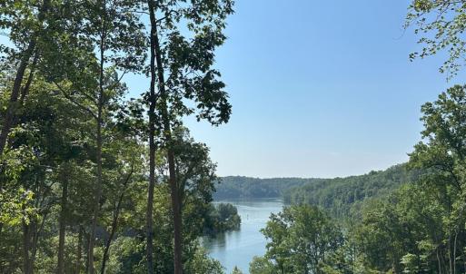 Photo #3 of 69 Washburn Court, Hardy, VA 1.1 acres