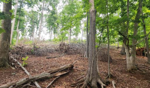 Photo #5 of 69 Washburn Court, Hardy, VA 1.1 acres