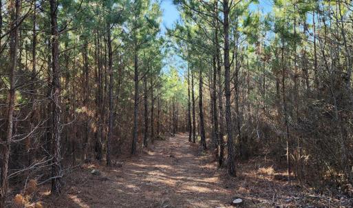 Photo #7 of Cameron Lane, Nathalie, VA 62.4 acres