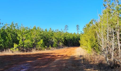 Photo #6 of Cameron Lane, Nathalie, VA 62.4 acres