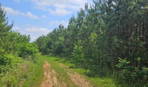 Photo #8 of Cameron Lane, Nathalie, VA 62.4 acres