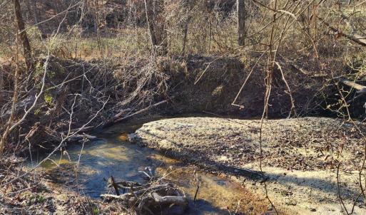 Photo #5 of Cameron Lane, Nathalie, VA 62.4 acres