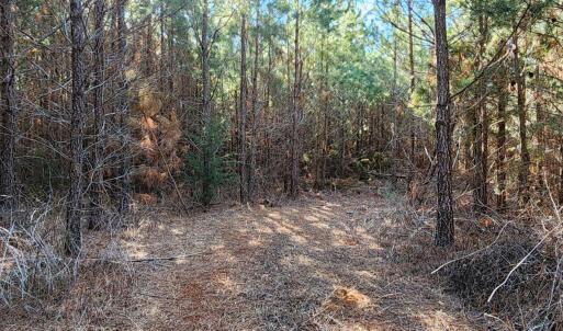 Photo #9 of Cameron Lane, Nathalie, VA 62.4 acres