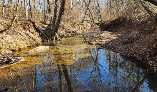 Photo #1 of Cameron Lane, Nathalie, VA 62.4 acres