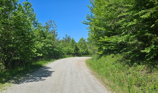 Photo #10 of Earley Farm Road, Madison Heights, VA 66.1 acres