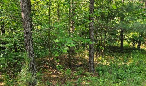 Photo #4 of Earley Farm Road, Madison Heights, VA 66.1 acres