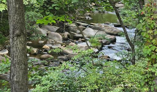 Photo #7 of Earley Farm Road, Madison Heights, VA 66.1 acres