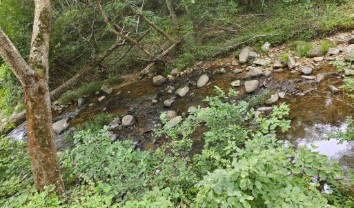 Photo #12 of Earley Farm Road, Madison Heights, VA 66.1 acres