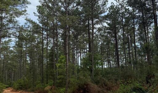 Photo #56 of 4040 Norwood Road, Gladstone, VA 405.2 acres