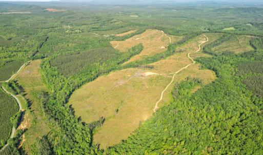 Photo #10 of 4040 Norwood Road, Gladstone, VA 405.2 acres